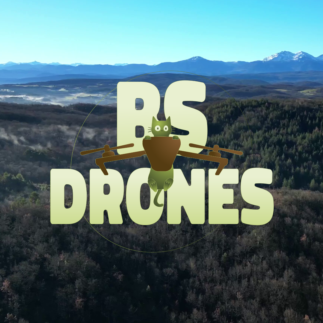 BS DRONES