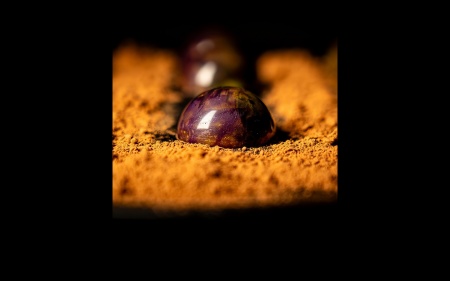 Photographie culinaire : Photo