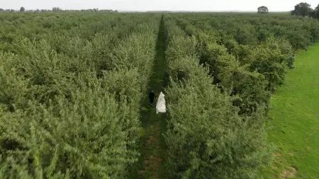 Mariage : Photo et Vidéo et Drone